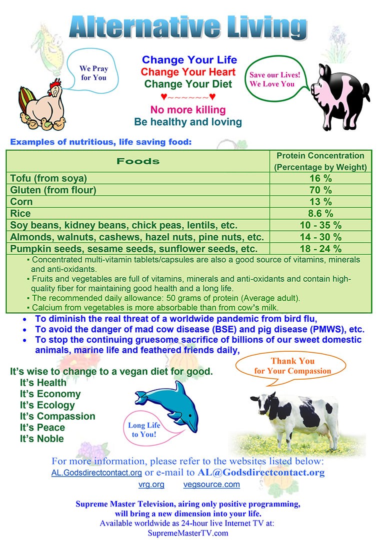 Best protein for human consumption - plant protein