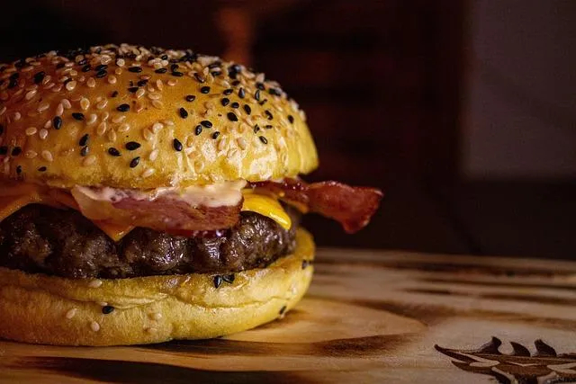 Hamburger environmental cost