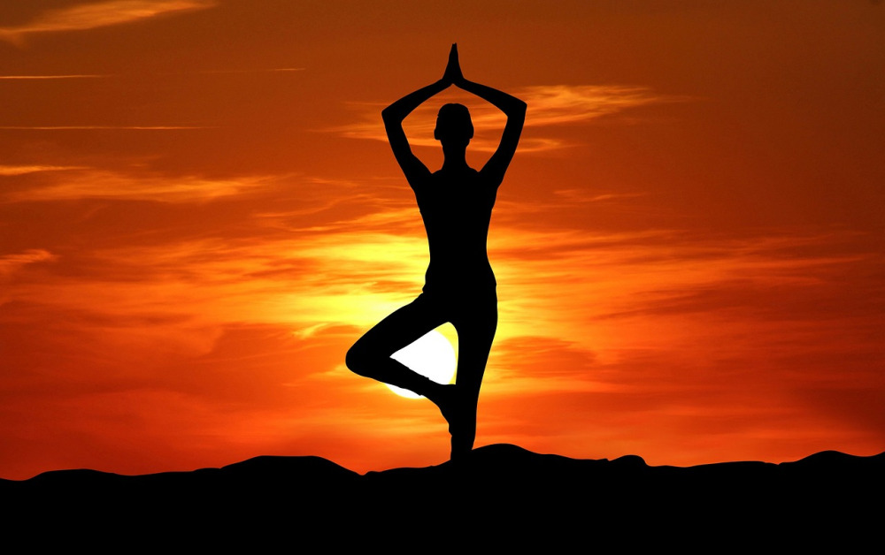 Health coaching consultation